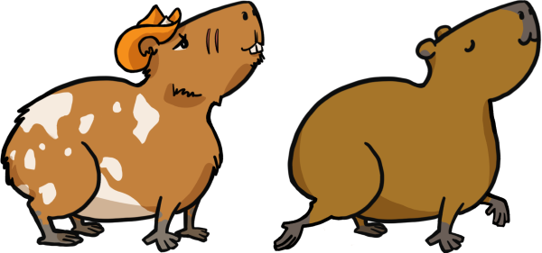 Texas Toast is one of the capybaras you can befriend